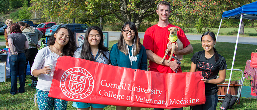 Cornell Veterinary students representing the College at Dog Fest