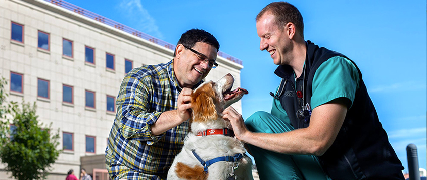 FAQ | Cornell University College of Veterinary Medicine FAQ | Cornell University College of Veterinary Medicine