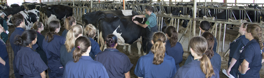 students at the teaching dairy barn