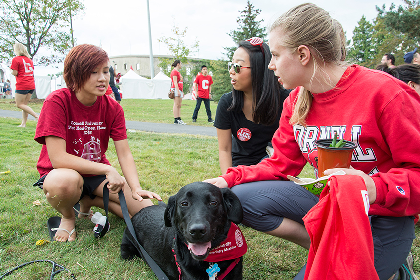 Student and dog at homecoming