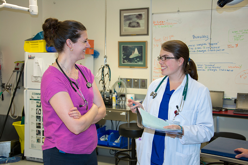 student discusses a case with a doctor