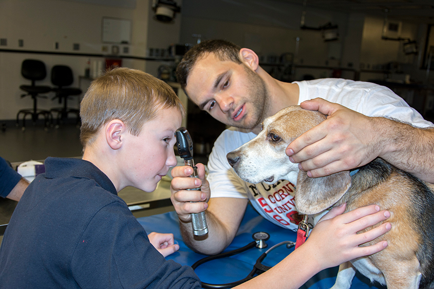student showing how to examine a dog