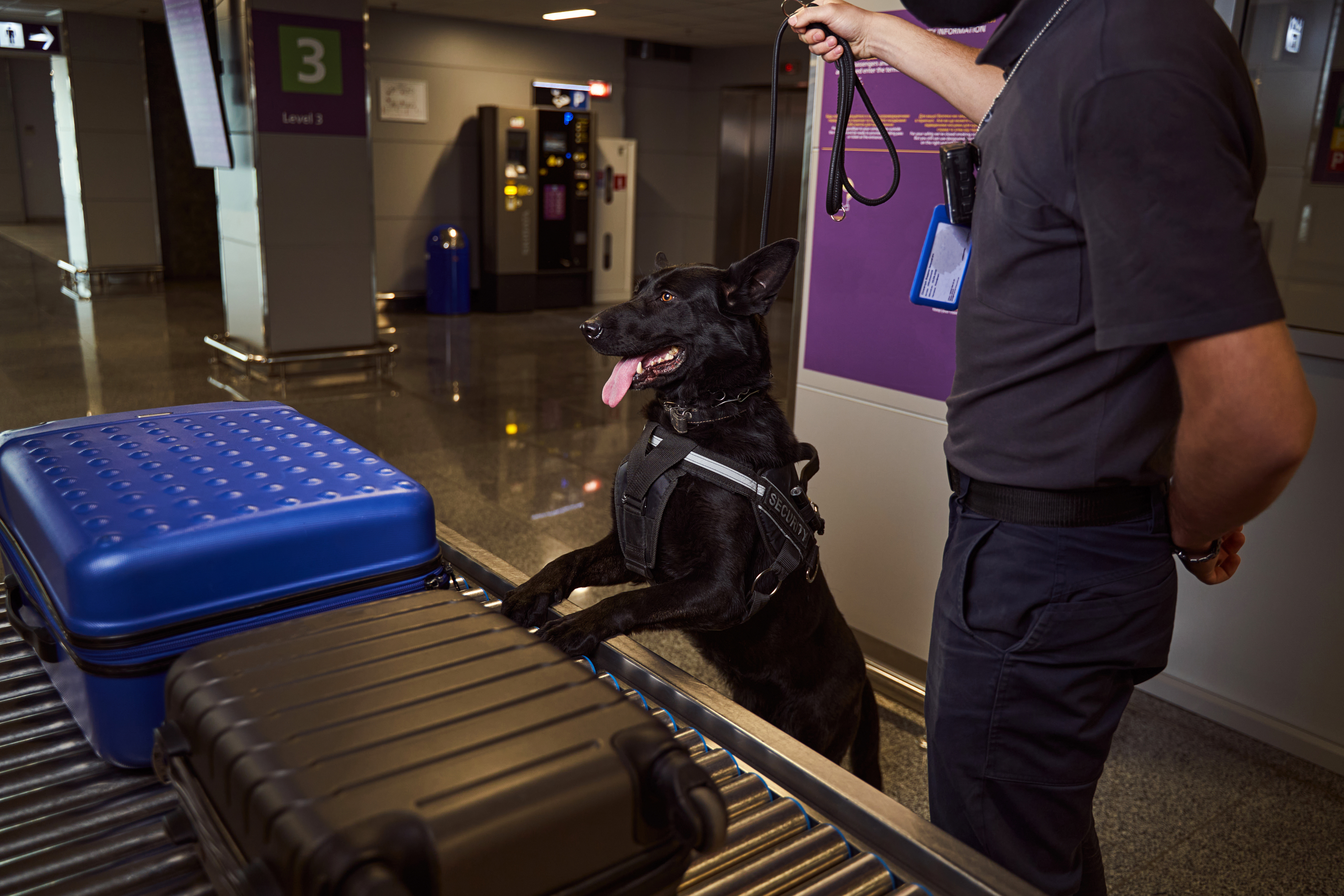 AdobeStock_SecurityDog_BCArticle_MetroAirportNews.jpeg