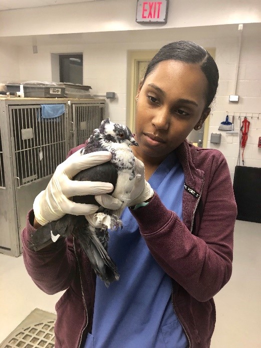 Student holding bird during an examination