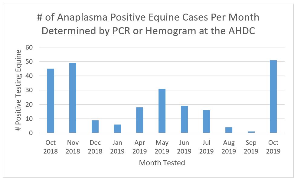 Anaplasma Positive Equine Cases 
