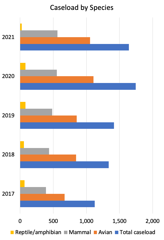 Bar chart depicting five years of caseload by species at the wildlife hospital