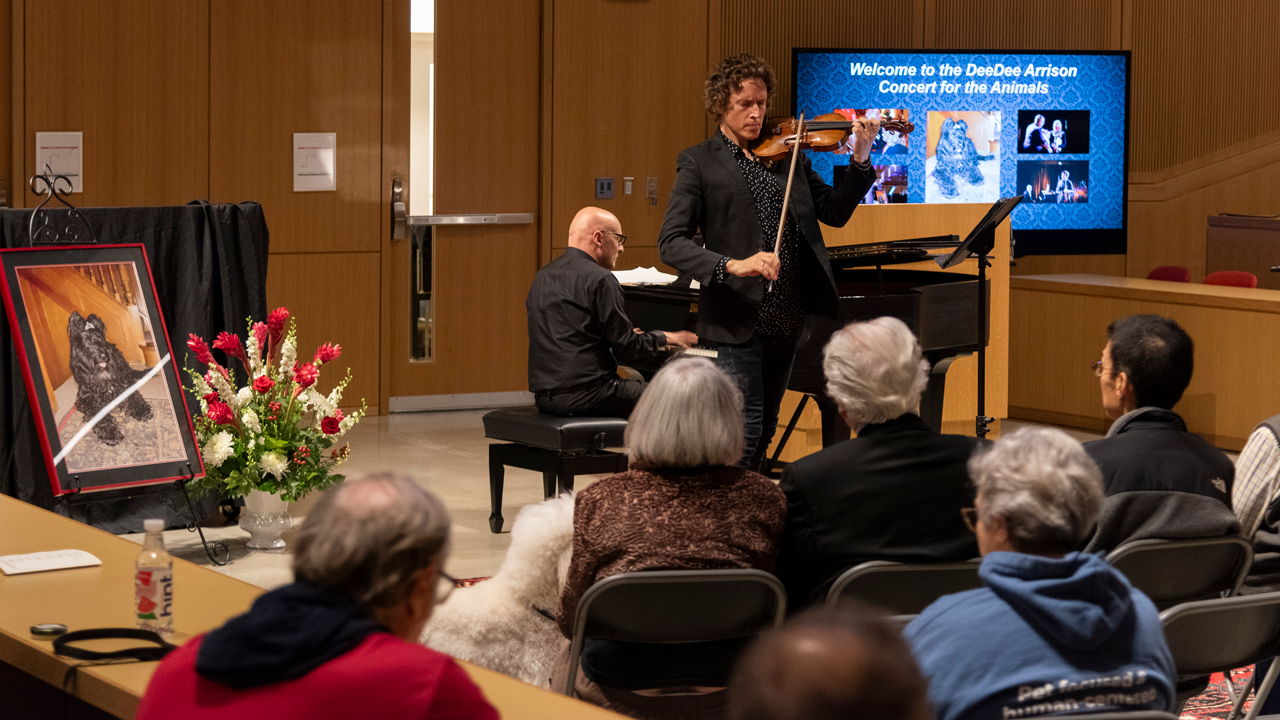 A violinist performs to a crowd in a CVM lecture hall