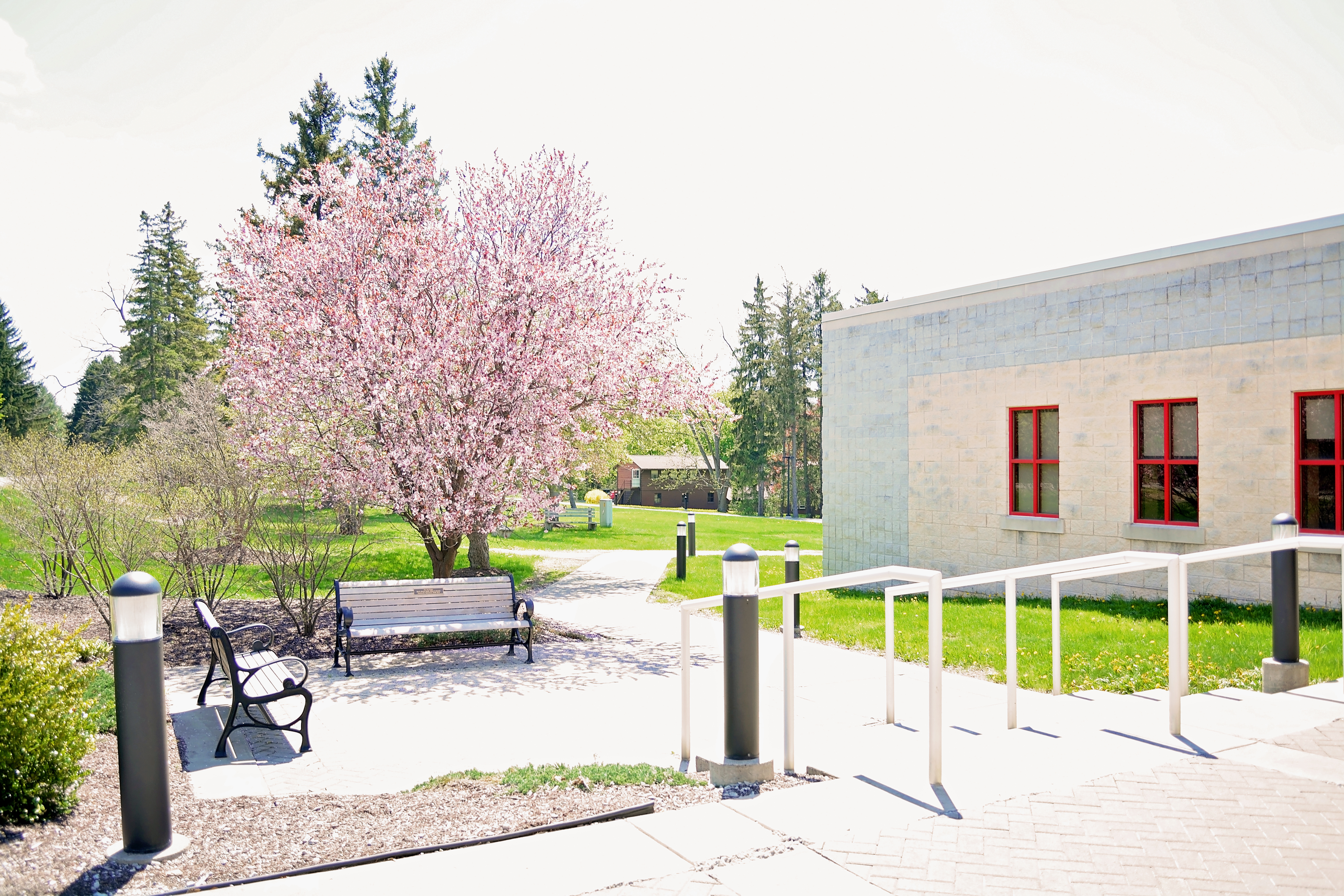 Baker Institute Courtyard