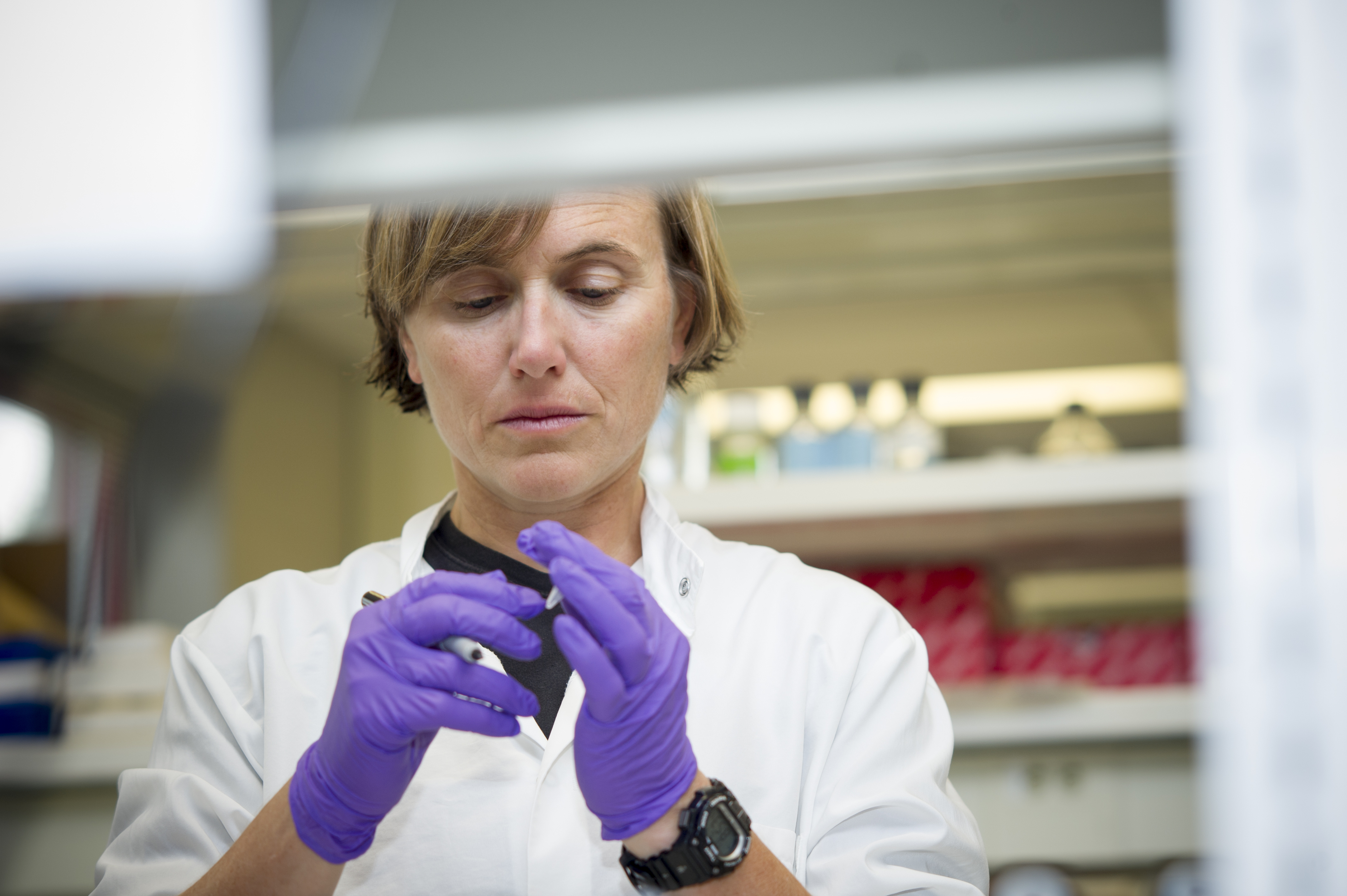 Rebecca Harman, PhD '18 labeling cell cultures in the Van de Walle lab. 