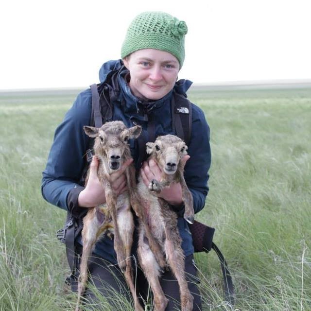 Wendy Beauvais holding two saiga calves