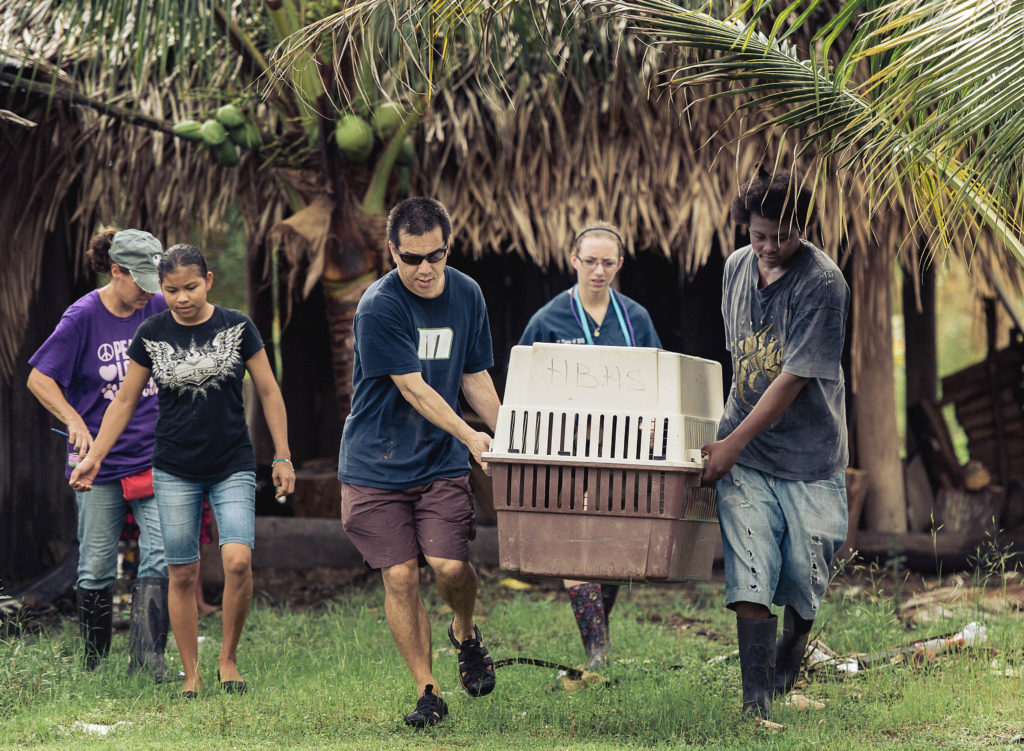 A group carrying a crate with a thatched hut in the background