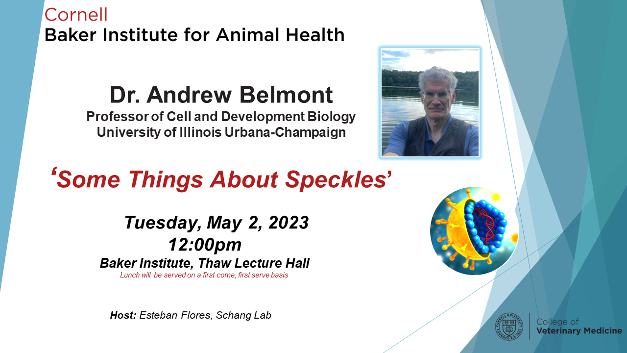 Dr. Andrew Belmont seminar flyer 