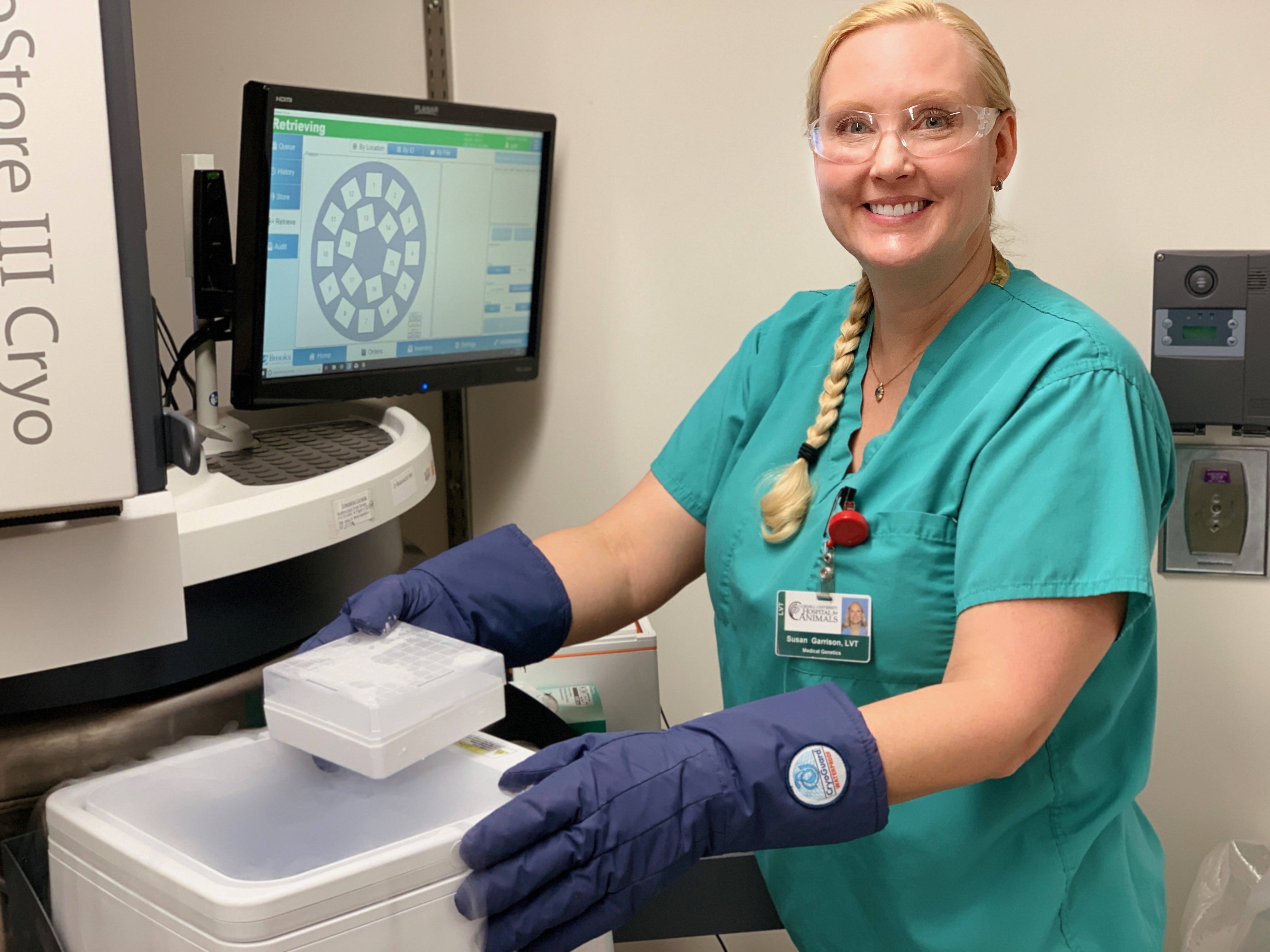 Cornell Veterinary Biobank staff member in the lab with cryo-storage unit