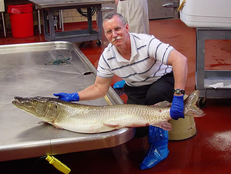 Chautauqua Fish Hatchery & NY's Muskellunge Fishery - New York