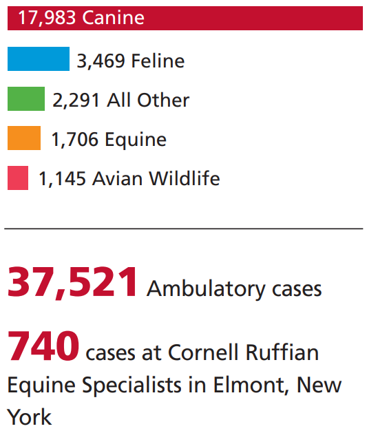 Bar chart of CUHA caseload with two call-out numbers: 37,521 ambulatory cases and 740 Cornell Ruffian Equine Hospital cases