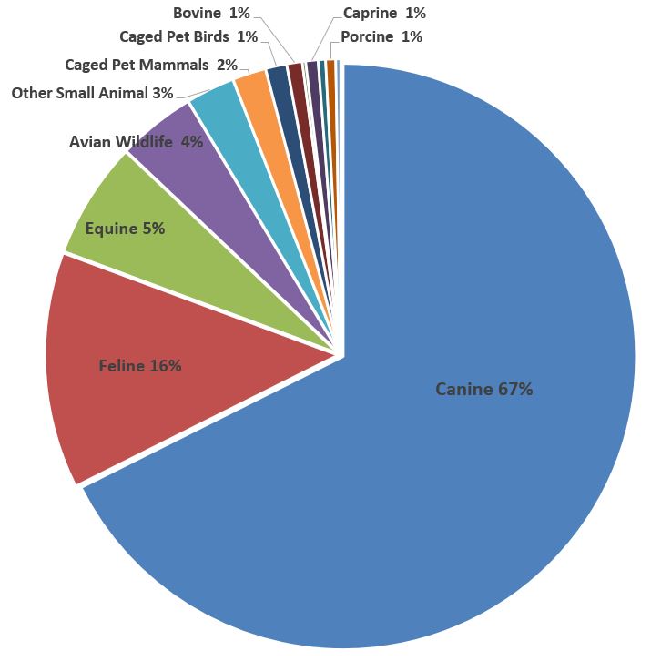 pie chart depicting the species breakdown of CUHA cases in 2021