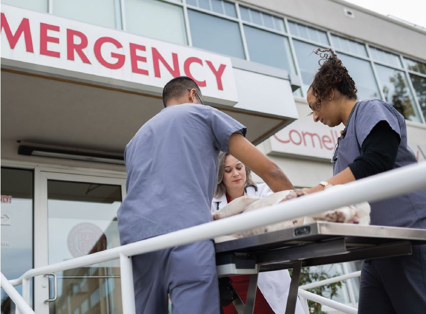 A CUVS clinical team with a patient outside the emergency entrance