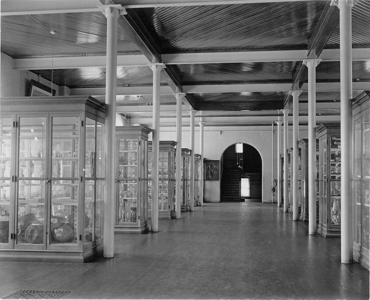 Anatomy museum looking south Law Hall 1906