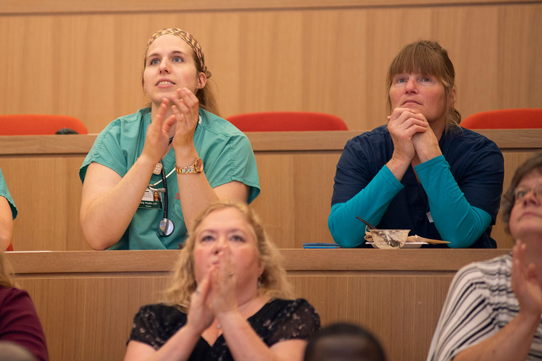 Staff sitting in Lecture Hall 4/5 watching a presentation on the screens