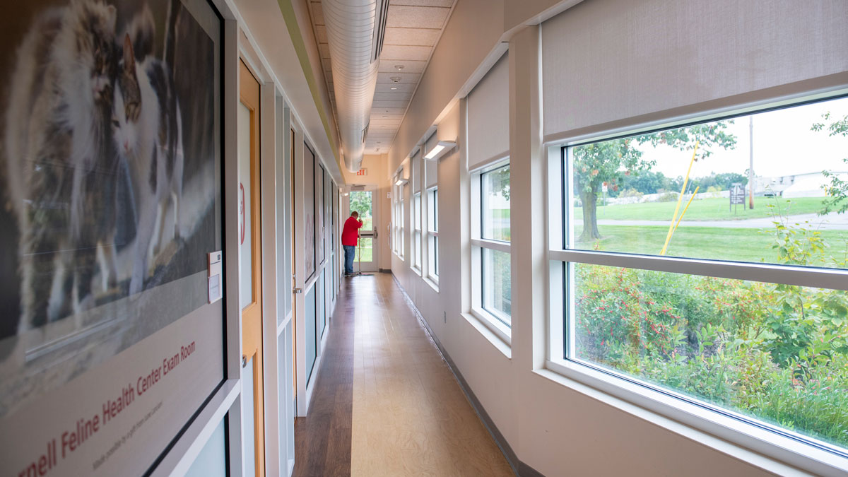 An empty hallway in the Small Animal Community Practice