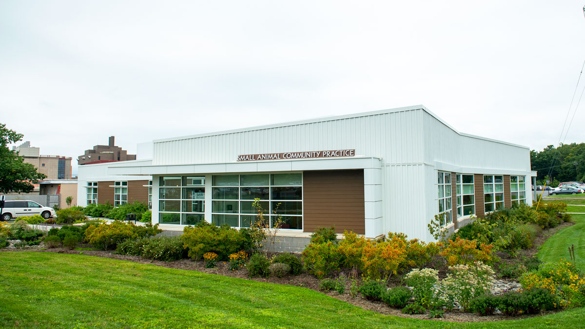 The exterior of the Small Animal Community Practice building