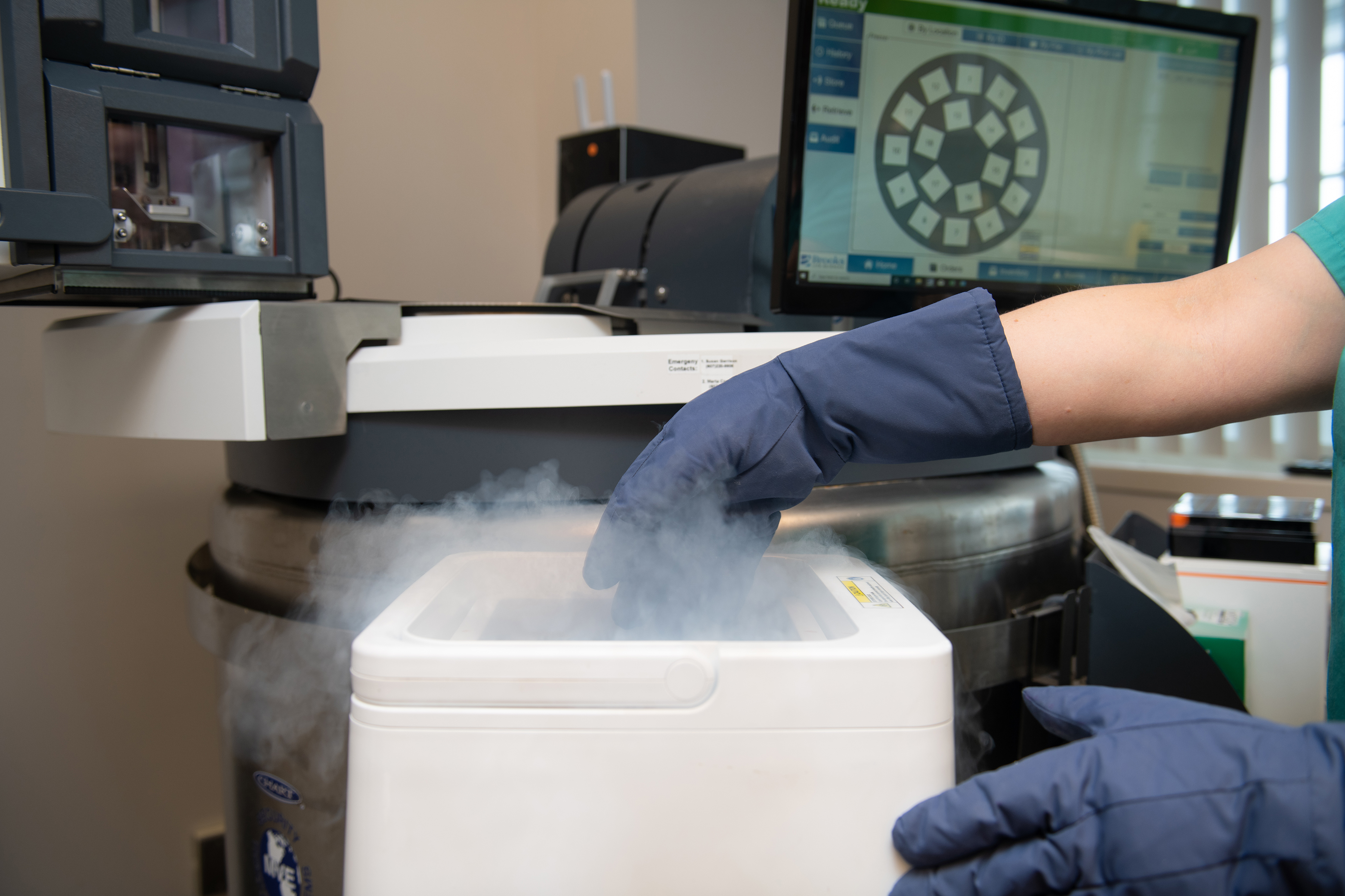 Samples being removed from storage in the Cornell Veterinary Biobank