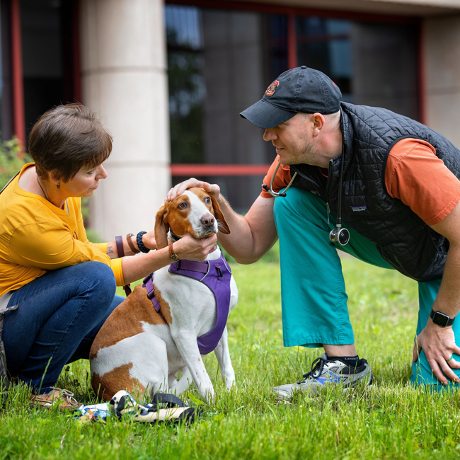 Thumbnail of Chris Fyre petting the dog highlighted in the news story