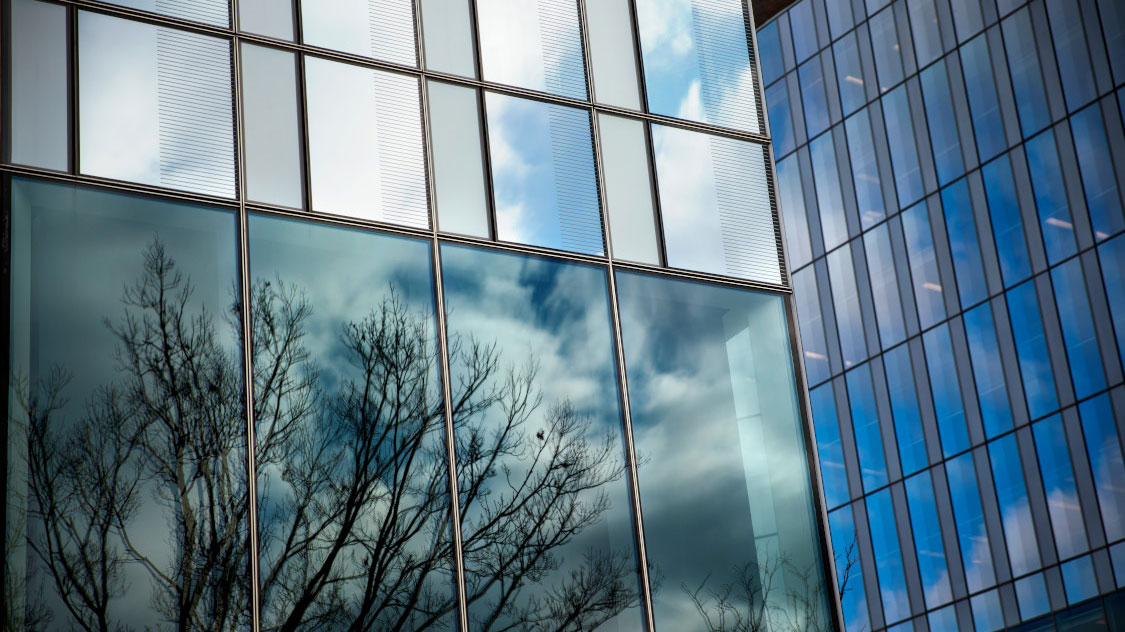 Tree reflections in the mirrored exterior windows at the Cornell College of Veterinary Medicine