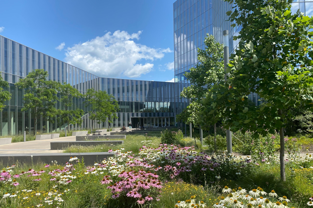 Outside view of the CVM building