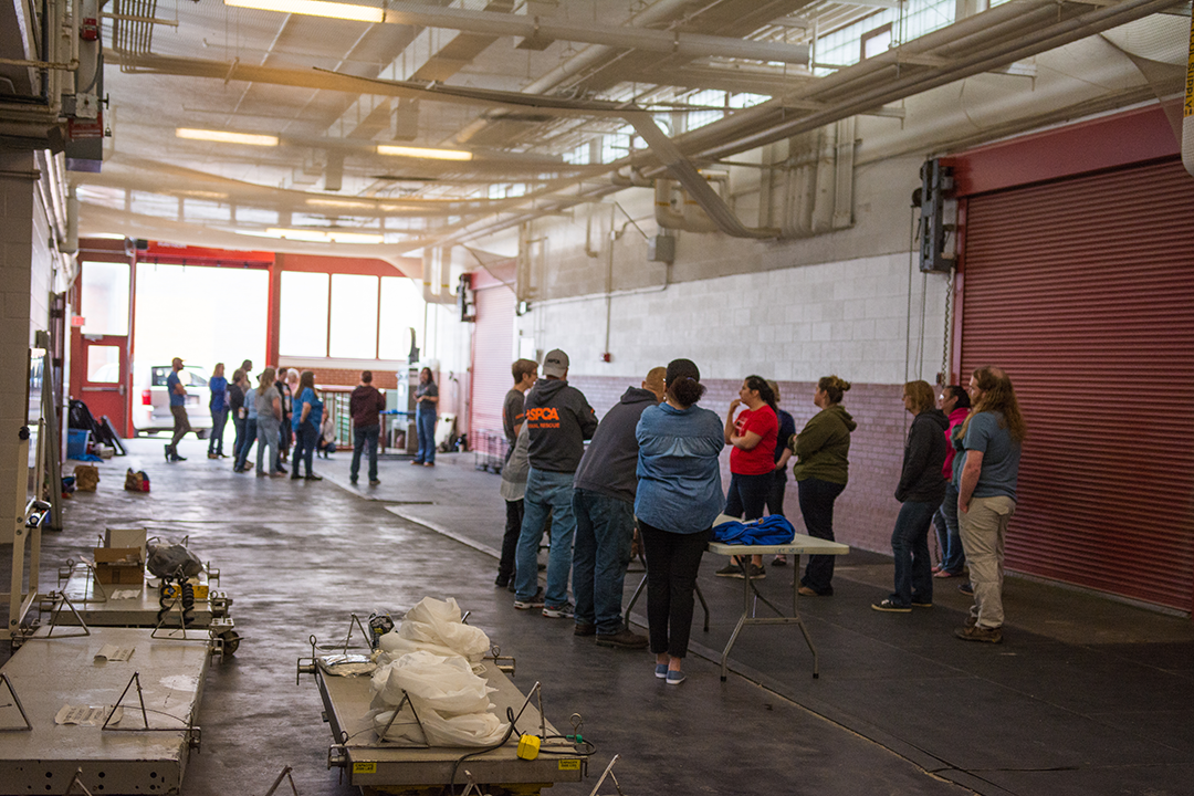 Attendees of the training during the live simulation portion in the breezeway of the College of Veterinary Medicine. Photo by Stephan Wagner.