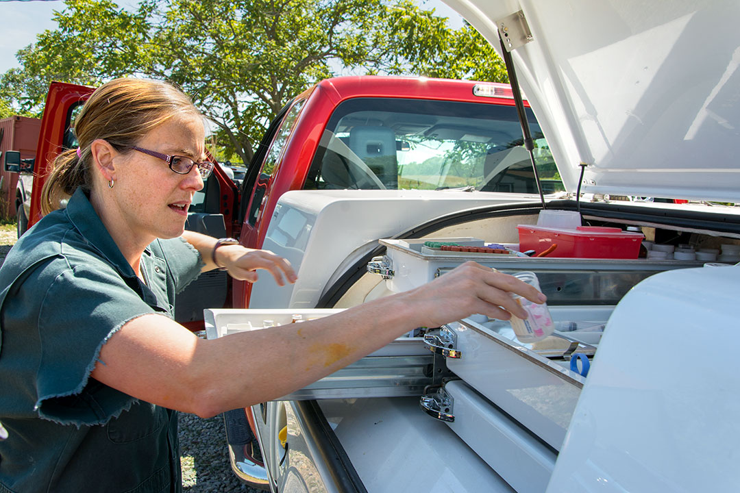 Jessica McArt, chief of Cornell's ambulatory clinic, gets supplies out of the service truck during a farm call.