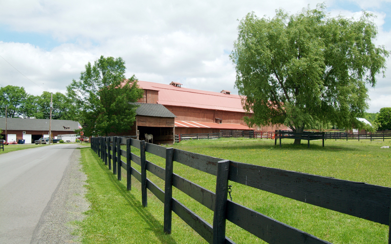 Cornell University Equine Park