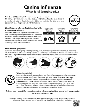 Canine influenza fact sheet continued...