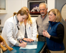 Students listening to clients sharing their pet's history in an exam room