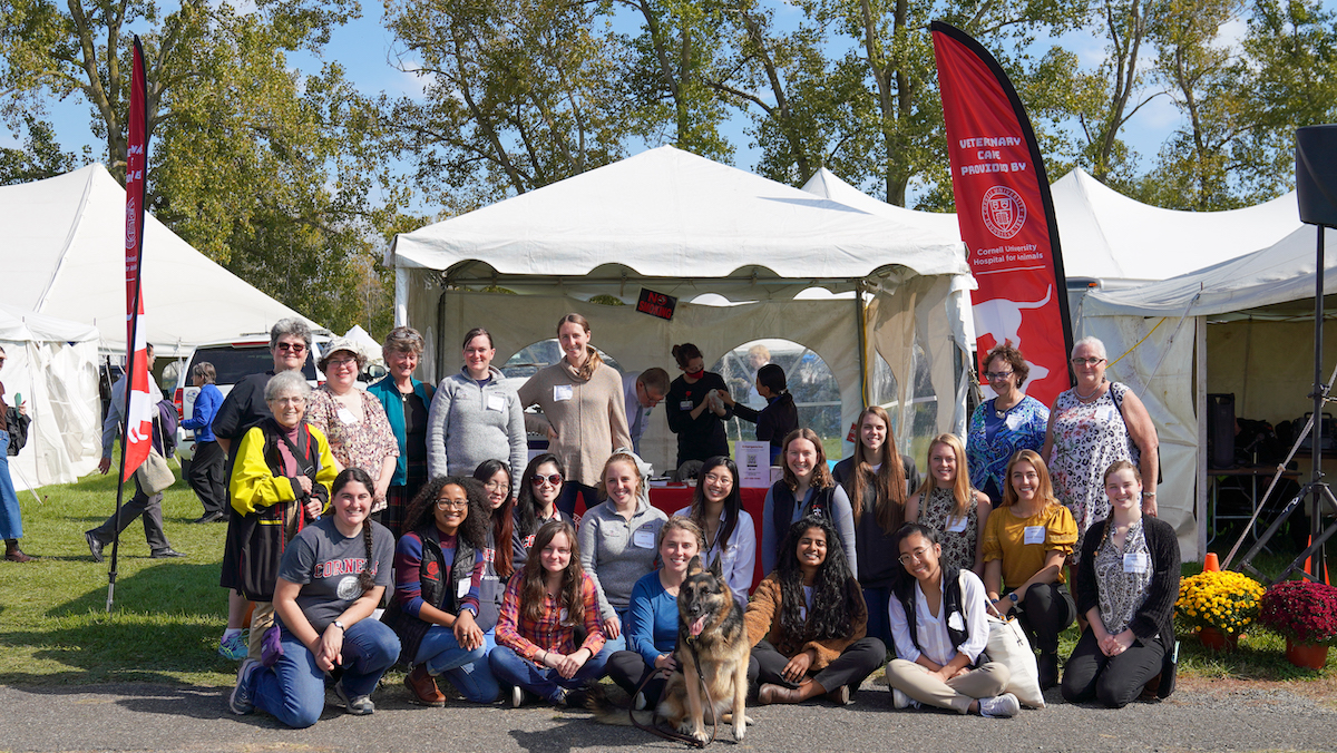 A group of Cornell veterinarians and students in front of their care tent at the Wine Country Circuit Saturday dog show