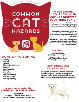 Cat Hazards Fact Sheet