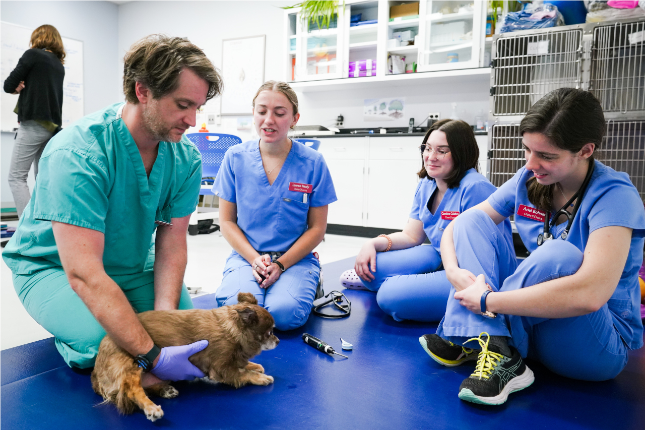 Students and professor in clinical training