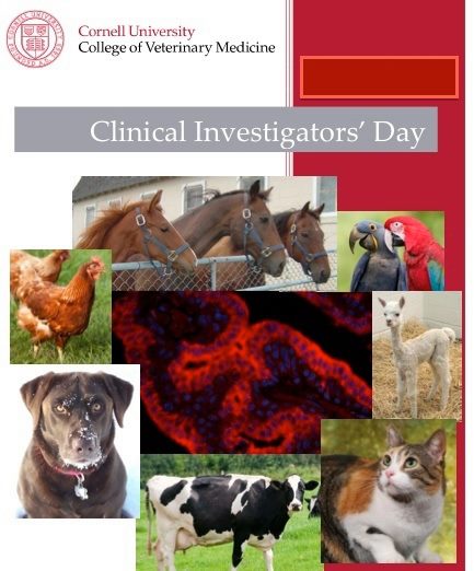 cover of the Clinical Investigator's Day program