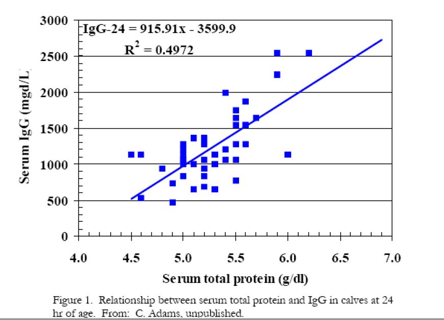 Total protein for newborn calves