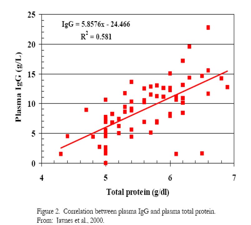 Total protein and plasma for newborn calves