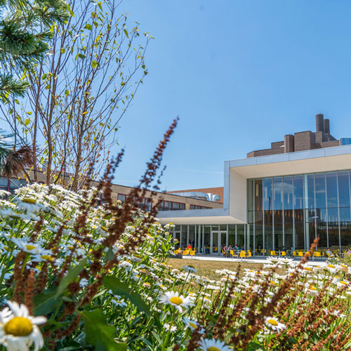 College courtyard