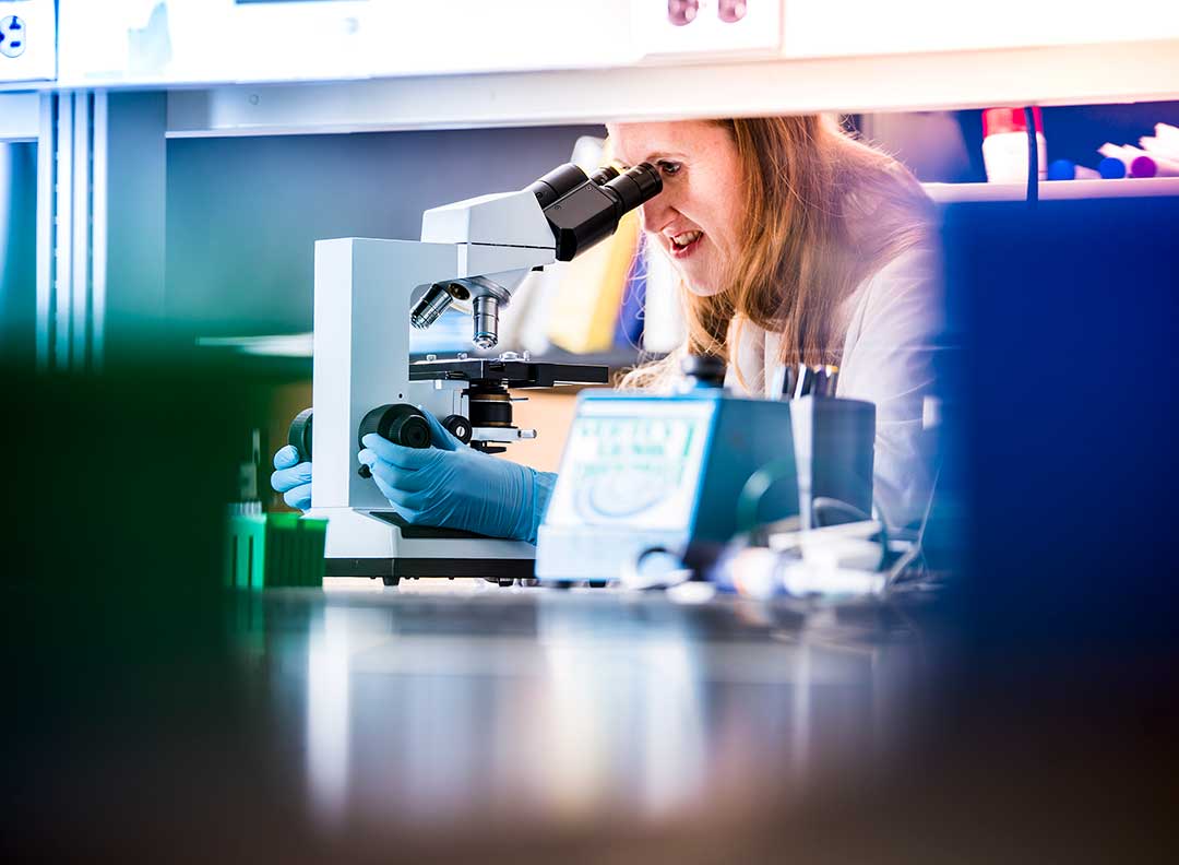 Bethany Cummings, assistant professor of biomedical sciences, in her lab