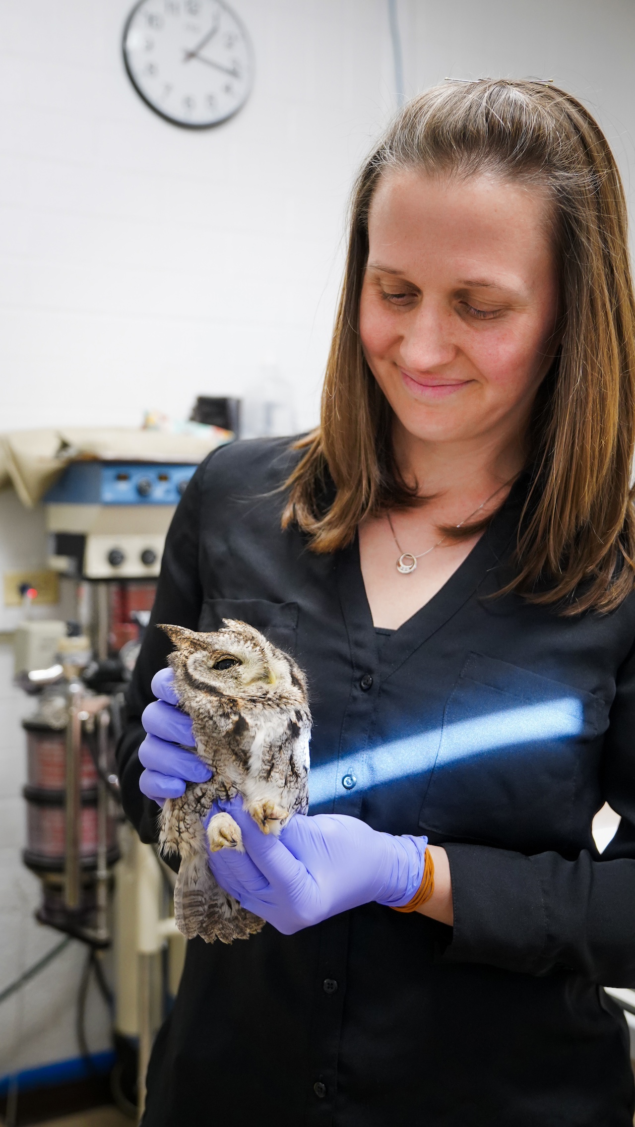 Cynthia Hopf-Dennis holding a small owl