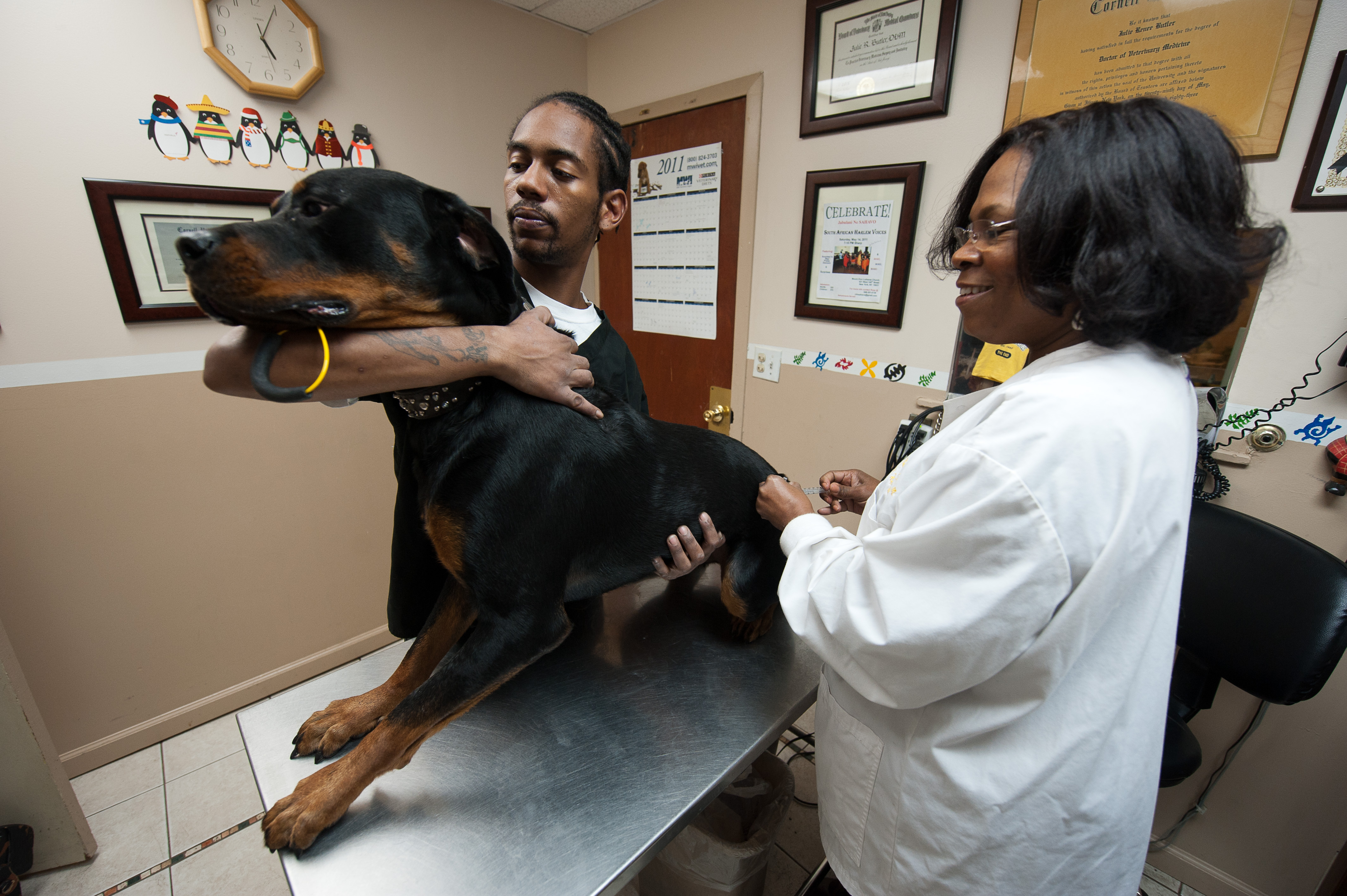 Dr. Butler examining a dog with the owner in her exam room