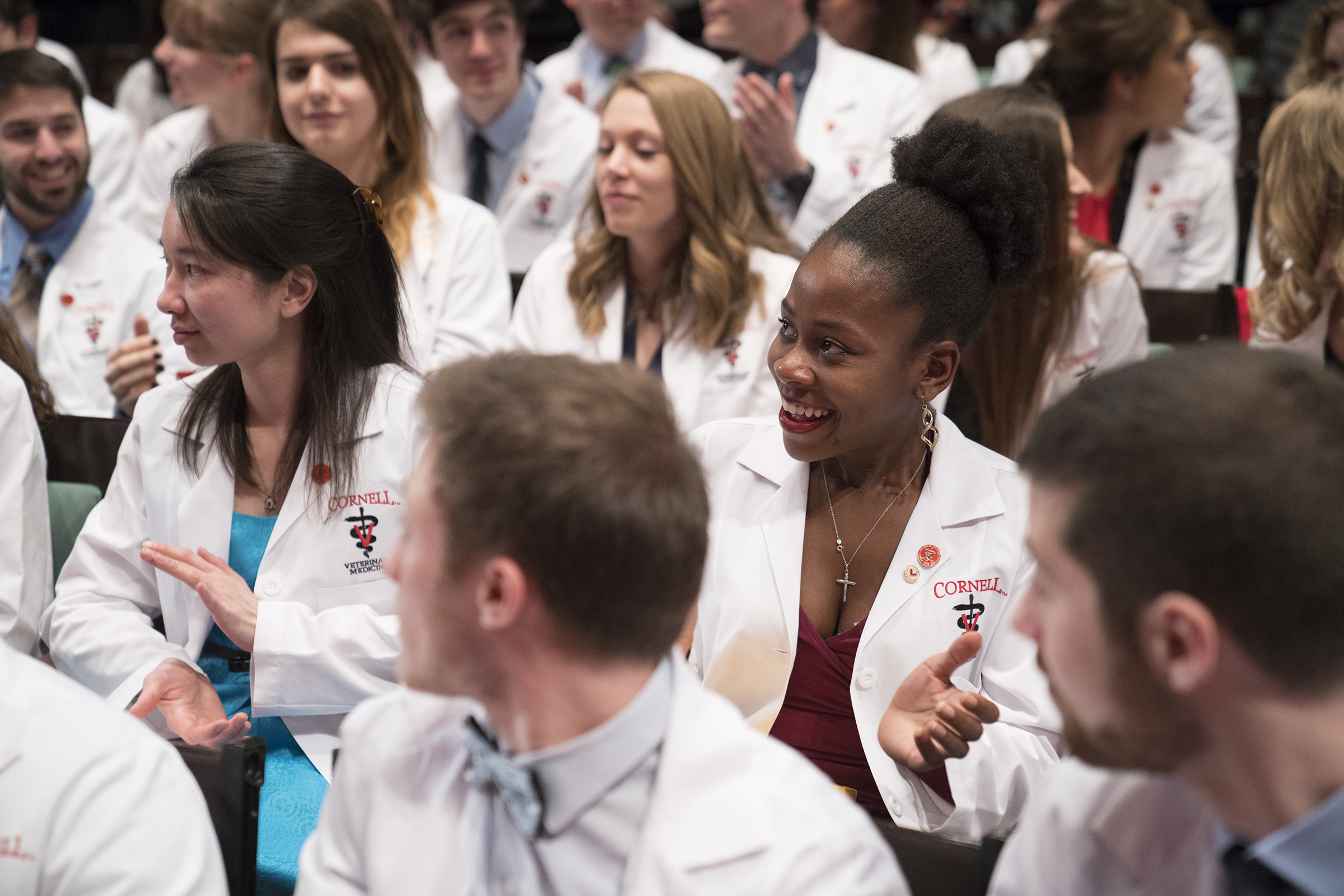 DVM students sit in Bailey Hall for their White Coat Ceremony