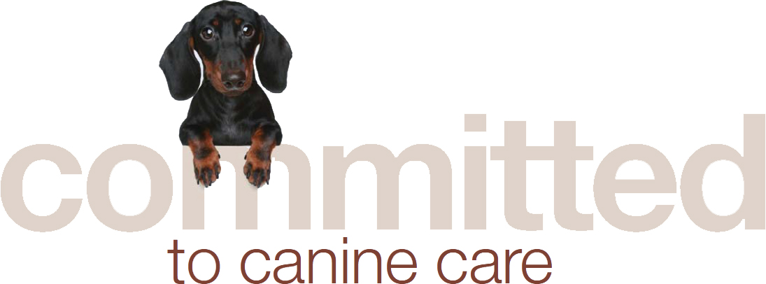 Committed To Canine Care Cornell University College Of Committed To Canine Care Cornell