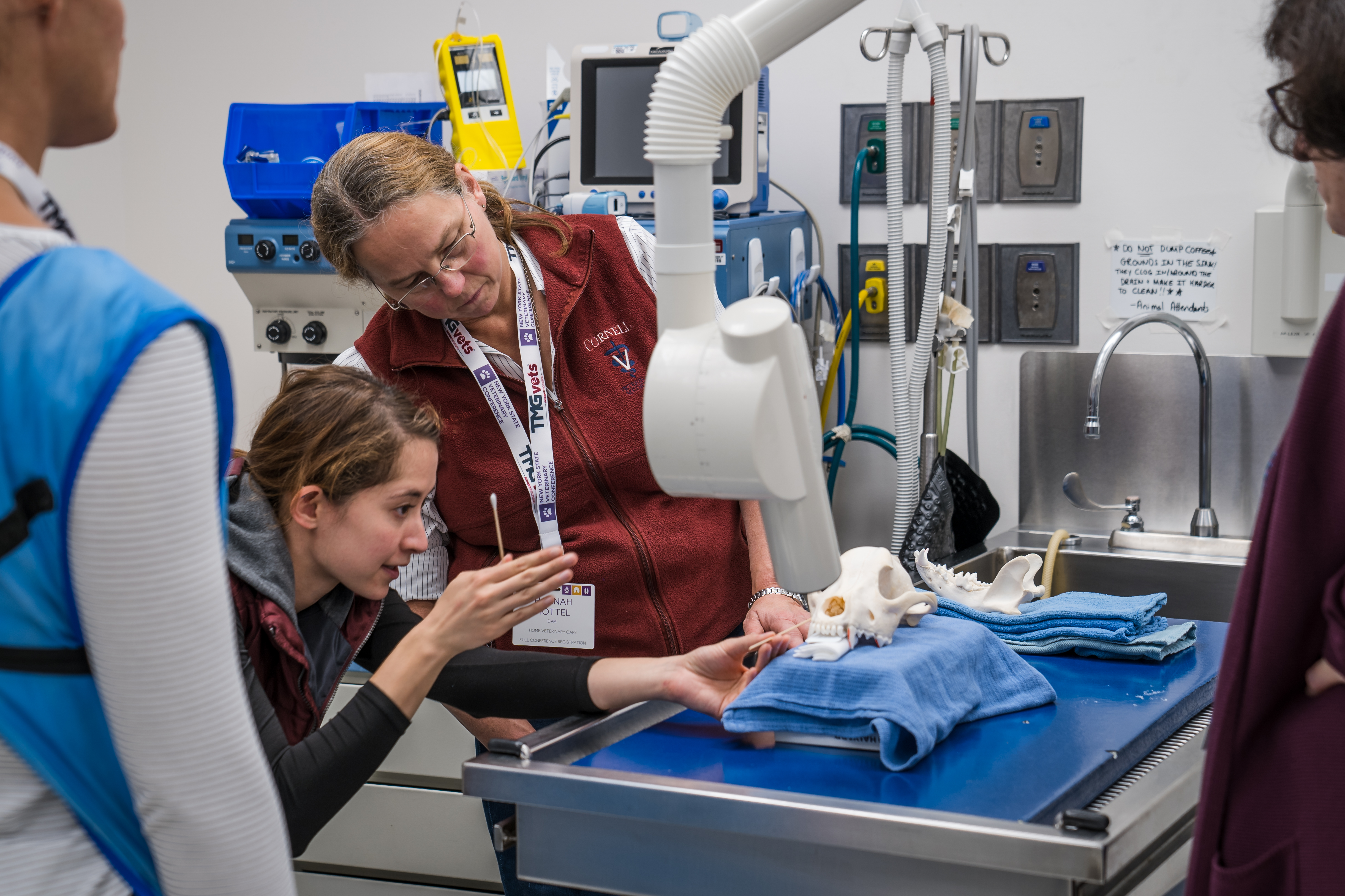 Veterinarians learning in a continuing education dental lab