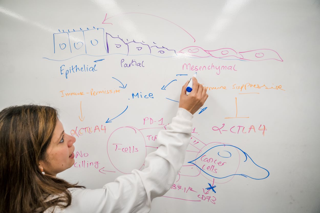 Anushka Dongre writing on a whiteboard