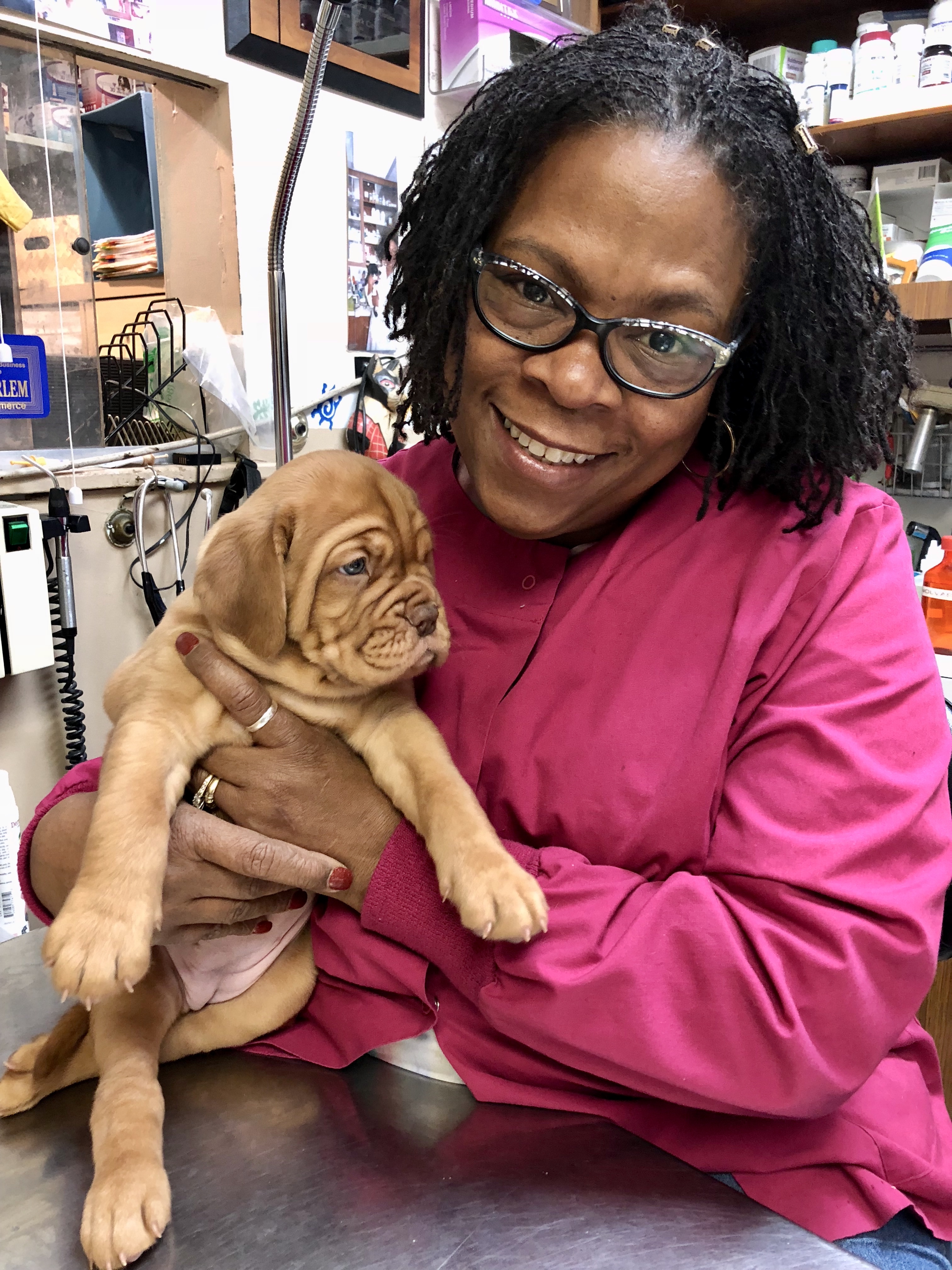 Dr. Butler in a bright pink shirt holding a puppy 