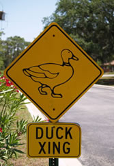duck.care ataie (duckcare) - Profile